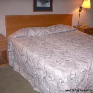 Princess Motel Maryville Quarto foto